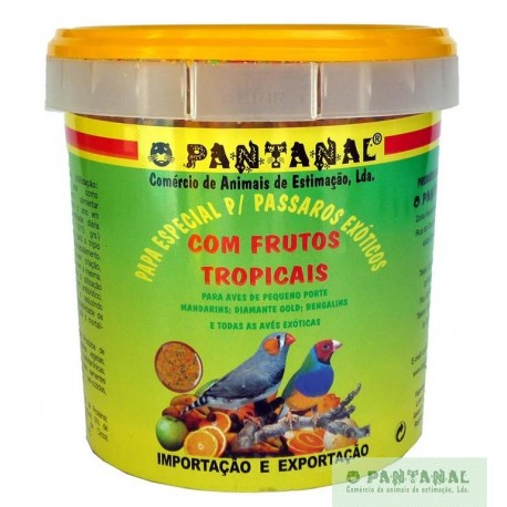 Papa Tropical com Frutos Naturais para Cria ou Adulto Exóticos Ref.20281