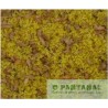 Papa Amarela com 50% Corante, com Vitaminas e Camarão, Probiótica Ref.20225